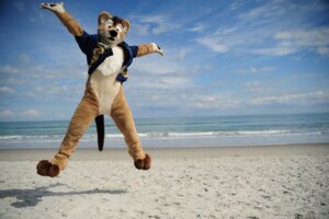 Rating: Safe Score: 0 Tags: beach black_eyes clothing cloud costume dasyuromorph detailed_background e621 fursuit grandfathered_content jumping karpour looking_at_viewer male mammal marsupial mixed_media nature outside photo_background photography_(artwork) real recently_extinct_species sand scenery seaside sky solo tail thylacine water User: bunchy7s Rating: Safe Score: 0 Tags: beach black_eyes clothing cloud costume dasyuromorph detailed_background e621 fursuit grandfathered_content jumping karpour looking_at_viewer male mammal marsupial mixed_media nature outside photo_background photography_(artwork) real recently_extinct_species sand scenery seaside sky solo tail thylacine water User: bunchy7s