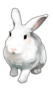 Rating: Safe Score: 0 Tags: 2009 ambiguous_gender black_border black_eyes border detailed detailed_fur digital_drawing_(artwork) digital_media_(artwork) e621 feral fluffy_ears fur lagomorph lagomorph_nose leporid long_ears mammal mosho22 open_mouth paws rabbit rabbit_ears simple_background solo traced white_background white_body white_fur User: bunchy7s Rating: Safe Score: 0 Tags: 2009 ambiguous_gender black_border black_eyes border detailed detailed_fur digital_drawing_(artwork) digital_media_(artwork) e621 feral fluffy_ears fur lagomorph lagomorph_nose leporid long_ears mammal mosho22 open_mouth paws rabbit rabbit_ears simple_background solo traced white_background white_body white_fur User: bunchy7s