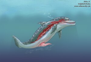 Rating: Explicit Score: 0 Tags: animal_genitalia animal_penis aquatic athus cetacean cetacean_genitalia cetacean_penis dolphin e621 erection feral genitals male mammal nude oceanic_dolphin penis solo tapering_penis text toothed_whale url water_clouding User: bunchy7s Rating: Explicit Score: 0 Tags: animal_genitalia animal_penis aquatic athus cetacean cetacean_genitalia cetacean_penis dolphin e621 erection feral genitals male mammal nude oceanic_dolphin penis solo tapering_penis text toothed_whale url water_clouding User: bunchy7s