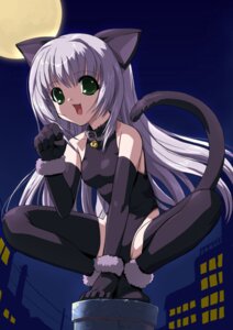 Rating: Explicit Score: 0 Tags: animal_ears bell bell_collar black_legwear black_thighhighs cat_ears cat_pose collar csy elbow_gloves female gloves green_eyes leotard open_mouth paw_pose rule34 silver_hair squat squatting tail thighhighs User: bunchy7s