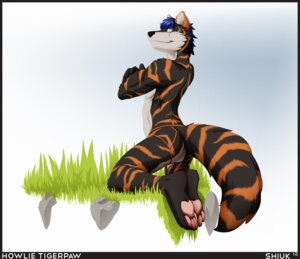 Rating: Questionable Score: 0 Tags: anthro biped blind_eye blue_hair butt canid canine clothing e621 feet felid grass hair hindpaw howlie_tigerpaw hybrid kneeling looking_at_viewer looking_back male mammal pantherine pawpads paws plant scar shiuk short_hair smile solo stripes tail thong tiger underwear User: bunchy7s