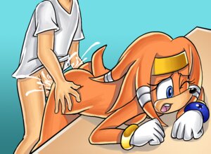 Rating: Explicit Score: 0 Tags: accessory anthro anthro_penetrated balls bent_over biped blue_eyes bodily_fluids bottomless clothed clothing cum digital_media_(artwork) duo e621 echidna erection faceless_character faceless_human faceless_male female female_on_human female_penetrated from_behind_position genital_fluids genitals gloves hair handwear headband human human_on_anthro human_penetrating human_penetrating_anthro interspecies kevinsano male male/female male_on_anthro male_penetrating male_penetrating_female mammal monotreme one_eye_closed open_mouth orange_body orange_hair penetration penile penile_penetration penis penis_in_vagina sega sex sonic_adventure sonic_the_hedgehog_(series) tikal_the_echidna vaginal vaginal_penetration white_clothing white_gloves white_handwear wince User: bunchy7s