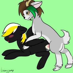 Rating: Explicit Score: 0 Tags: 1:1 antlers blush deer duo e621 equid equine erection feathered_wings feathers female female_penetrated feral genitals hair hasbro hooves horn lovingpony male male/female male_penetrating male_penetrating_female mammal multicolored_hair my_little_pony mythological_creature mythological_equine mythology nude pegasus penetration penis quadruped sex tail wings User: bunchy7s