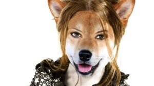 Rating: Safe Score: 0 Tags: 16:9 anthro black_lips black_nose brown_hair bust_portrait canid canine canis clothing domestic_dog e621 female fur grey_eyes hair hair_bun hair_over_eye hair_up lips looking_at_viewer mammal one_eye_obstructed open_mouth orange_body orange_fur photo_manipulation photomorph portrait quartz_(artist) shiba_inu shirt simple_background snout solo spitz teeth third-party_edit tongue tongue_out topwear wallpaper whiskers white_background white_body white_fur widescreen User: bunchy7s