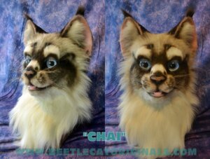 Rating: Safe Score: 0 Tags: ambiguous_gender beetlecat blue_eyes clothing costume domestic_cat e621 felid feline felis fursuit grandfathered_content mammal mask multiple_angles real siamese_cat solo User: bunchy7s