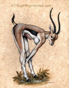 Rating: Explicit Score: 0 Tags: 2000 animal_genitalia antelope anthro bent_over bent_over_with_legs_held_straight black_horn bovid breasts e621 erection extended_arms gazelle genitals gynomorph hands_on_legs hands_on_own_legs hands_on_own_shins hands_on_shins holding_both_legs holding_both_shins hooves horn intersex leaning_on_self legs_together looking_at_viewer mammal nipples nude penis rog_minotaur sheath side_view solo straight_legs tapering_penis thomson's_gazelle true_antelope User: bunchy7s