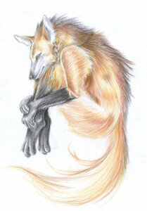 Rating: Safe Score: 0 Tags: ambiguous_gender anthro biped black_body black_fur braided_hair brown_body brown_fur canid canine curled_up e621 feet fetal_pose fur gloves_(marking) hair leg_markings mammal maned_wolf markings nalavara nude side_view simple_background socks_(marking) solo tail white_background User: bunchy7s Rating: Safe Score: 0 Tags: ambiguous_gender anthro biped black_body black_fur braided_hair brown_body brown_fur canid canine curled_up e621 feet fetal_pose fur gloves_(marking) hair leg_markings mammal maned_wolf markings nalavara nude side_view simple_background socks_(marking) solo tail white_background User: bunchy7s