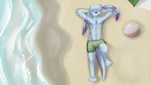 Rating: Questionable Score: 0 Tags: 16:9 anthro barefoot beach big_ears biped bird's-eye_view blue_body blue_fur bulge clothed clothing colored detailed_background e621 eyes_closed feet fur grin hands_behind_head happy high-angle_view hybrid lagomorph leporid lying male mammal markings mene menebunny mustelid otter outside paws purple_body purple_fur rabbit sand seaside smile solo swimwear tail thick_tail topless water widescreen User: bunchy7s