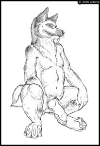 Rating: Explicit Score: 0 Tags: animal_genitalia animal_penis anthro artonis balls canid canine canine_genitalia canine_penis canis domestic_dog e621 erection genitals knot male mammal monochrome nude penis slightly_chubby slightly_chubby_anthro slightly_chubby_male solo tail tongue tongue_out User: bunchy7s