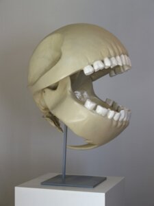 Rating: Safe Score: 0 Tags: bandai_namco bone e621 grandfathered_content le_gentil_garcon low_res male nightmare_fuel not_furry pac-man pac-man_(series) real realistic skeleton skull sphere_creature teeth what what_has_science_done where_is_your_god_now why zero_pictured User: bunchy7s