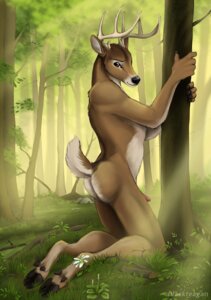 Rating: Explicit Score: 0 Tags: 2011 anthro antlers biped blackteagan deer detailed_background e621 erection forest genitals hi_res hooves horn kneeling looking_aside looking_at_viewer male mammal nature nude outside penis penis_tip pink_penis plant raised_tail scratches_volume_5 solo tail tree wood User: bunchy7s