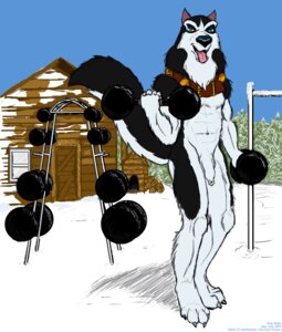 Rating: Explicit Score: 0 Tags: balto_(film) canine foreskin furry male male_only penis rule34 steele_(balto) uncircumcised User: bunchy7s