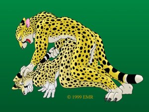 Rating: Explicit Score: 0 Tags: 1990s 1999 20th_century 4:3 all_fours ambiguous_penetration anthro anthro_on_anthro anthro_penetrated anthro_penetrating anthro_penetrating_anthro ass_up baring_teeth bent_over biped black_nose breasts cheetah claws clenched_teeth copyright_symbol dominant dominant_male duo e621 el_muzzle_rover felid feline female female_anthro female_on_bottom female_penetrated forced fur furry green_background held_down intraspecies male male/female male_anthro male_on_top male_penetrating male_penetrating_female mammal nude nude_anthro nude_female nude_male on_bottom on_top open_mouth penetration penile penile_penetration pinned rape restrained rule34 sex side_boob side_view simple_background spots submissive submissive_female symbol tail teeth toe_claws tongue vintage User: bunchy7s