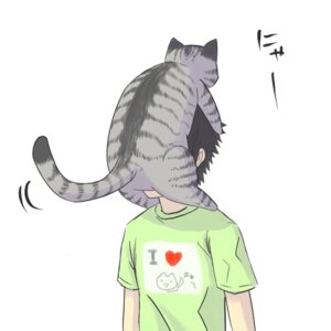 Rating: Safe Score: 0 Tags: 1:1 ambiguous_gender clothed clothing domestic_cat duo e621 felid feline felis feral glomp heart_symbol human humor japanese_text kenta_(9t515) mackerel_tabby male mammal on_top simple_background tabby_cat tail tail_motion tailwag text what white_background User: bunchy7s
