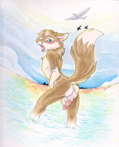 Rating: Explicit Score: 0 Tags: 2012 animal_genitalia anthro anus avian balls bird blush canid canine canis coyote dipstick_tail e621 erection fur genitals gull hi_res humanoid_genitalia humanoid_penis lari larid looking_back male mammal markings nude penis sheath solo tail tail_markings tan_body tan_fur tassy_(artist) water User: bunchy7s Rating: Explicit Score: 0 Tags: 2012 animal_genitalia anthro anus avian balls bird blush canid canine canis coyote dipstick_tail e621 erection fur genitals gull hi_res humanoid_genitalia humanoid_penis lari larid looking_back male mammal markings nude penis sheath solo tail tail_markings tan_body tan_fur tassy_(artist) water User: bunchy7s