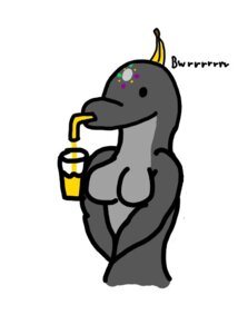 Rating: Questionable Score: 0 Tags: 2011 anthro appliance aquatic arianna_(soscer) banana bendy_straw blender_(machine) breasts cetacean container cup derp_eyes dolphin dragon-heart drinking_straw e621 english_text female food fruit glass humor kitchen_appliance mammal oceanic_dolphin plant simple_background solo text toothed_whale what white_background User: bunchy7s