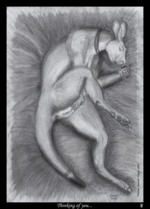Rating: Explicit Score: 0 Tags: anthro e621 female fingering fingering_self foxia fur greyscale hi_res kangaroo macropod mammal marsupial masturbation monochrome solo tail vaginal vaginal_masturbation User: bunchy7s Rating: Explicit Score: 0 Tags: anthro e621 female fingering fingering_self foxia fur greyscale hi_res kangaroo macropod mammal marsupial masturbation monochrome solo tail vaginal vaginal_masturbation User: bunchy7s