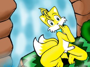 Rating: Explicit Score: 0 Tags: 4:3 anthro balls barefoot blackcat blue_eyes canid canine e621 erection feet fox genitals humanoid_genitalia humanoid_penis male mammal miles_prower multi_tail nude penis sega solo sonic_the_hedgehog_(series) tail vacant_stare water waterfall User: bunchy7s Rating: Explicit Score: 0 Tags: 4:3 anthro balls barefoot blackcat blue_eyes canid canine e621 erection feet fox genitals humanoid_genitalia humanoid_penis male mammal miles_prower multi_tail nude penis sega solo sonic_the_hedgehog_(series) tail vacant_stare water waterfall User: bunchy7s