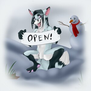 Rating: Safe Score: 0 Tags: 1:1 anthro canid canine e621 fox happy hi_res male mammal outside snow snowman solo tail tongue unknown_artist winter User: bunchy7s Rating: Safe Score: 0 Tags: 1:1 anthro canid canine e621 fox happy hi_res male mammal outside snow snowman solo tail tongue unknown_artist winter User: bunchy7s