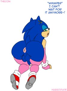 Rating: Explicit Score: 0 Tags: anthro anus backsack balls bent_over big_butt biped blue_body blue_fur blue_hair butt clothed clothing crossdressing e621 ear_piercing english_text erection eulipotyphlan femboy footwear fur genitals green_eyes habbodude hair hedgehog hi_res male mammal mostly_nude penis piercing presenting presenting_hindquarters sega shoes solo sonic_the_hedgehog sonic_the_hedgehog_(series) text thecon User: bunchy7s
