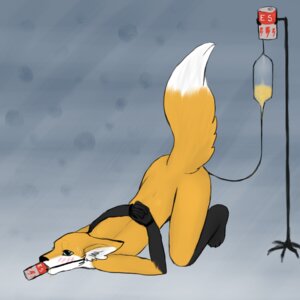 Rating: Questionable Score: 0 Tags: 1:1 abstract_background ambiguous_gender anthro ass_up bdsm blush bondage bound butt canid canine dipstick_tail e621 enema enema_bag fox fur gloves_(marking) hands_behind_back himolaski_homer leg_markings lying mammal markings multicolored_tail nude on_front on_ground orange_body orange_fur simple_background socks_(marking) solo submissive submissive_ambiguous tail tail_markings unknown_artist white_body white_fur User: bunchy7s