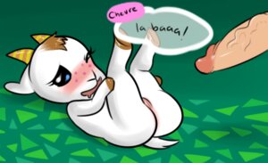 Rating: Explicit Score: 0 Tags: animal_crossing anthro blush bovid caprine chevre_(animal_crossing) crablouse disembodied_penis dominant duo e621 english_text erection female female_focus genitals goat human human_on_anthro humanoid_genitalia humanoid_penis interspecies larger_dom larger_male male male/female mammal nintendo penis presenting size_difference smaller_female solo_focus text vein veiny_penis vulva User: bunchy7s