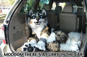 Rating: Safe Score: 0 Tags: 2009 ambiguous_gender beastcub canid canine canis clothing costume e621 feral fursuit grandfathered_content humor lilleah_west link_(wolf_form) mammal mazda nintendo piercing quadsuit real solo the_legend_of_zelda twilight_princess vehicle what wolf User: bunchy7s