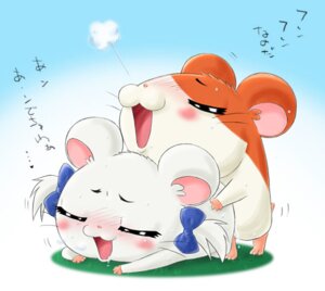 Rating: Explicit Score: 0 Tags: 1boy 1girls artist_request bijou_(hamtaro) blush cum dialogue doggy_style female feral feral_on_feral hamster hamtaro hamtaro_(series) male rule34 tagme translation_request User: bunchy7s Rating: Explicit Score: 0 Tags: 1boy 1girls artist_request bijou_(hamtaro) blush cum dialogue doggy_style female feral feral_on_feral hamster hamtaro hamtaro_(series) male rule34 tagme translation_request User: bunchy7s
