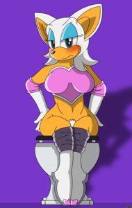 Rating: Explicit Score: 0 Tags: anthro bat blush clothing color dragonsteincole female female_only front_view furry pants_down rouge_the_bat rule34 solo sonic_(series) tagme toilet User: bunchy7s
