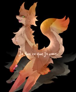 Rating: Questionable Score: 0 Tags: 5:6 anthro breasts canid canine e621 female fox french_text green_eyes looking_at_viewer mammal nipples nude simple_background solo tail text translated クロ User: bunchy7s