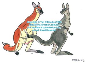 Rating: Explicit Score: 0 Tags: 1990s 1994 20th_century anatomically_correct anatomically_correct_genitalia anatomically_correct_penis anatomically_correct_pussy animal_genitalia animal_penis animal_pussy annoying_watermark female feral fur genitals kangaroo male marsupial marsupial_genitalia marsupial_penis marsupial_pussy penis pussy rule34 straight tim_o'rourke year User: bunchy7s