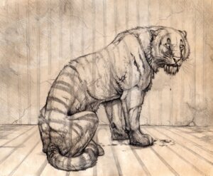 Rating: Safe Score: 0 Tags: 2008 ambiguous_gender bars cage e621 felid feral hibbary mammal monochrome pantherine prisoner solo tail tiger User: bunchy7s