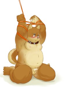 Rating: Explicit Score: 0 Tags: akita akita_inu anthro balls bdsm blush bodily_fluids bondage bound canid canine canis censor_bar censored domestic_dog e621 flaccid genital_fluids genitals ineffective_censorship male mammal manya moobs nipples overweight overweight_anthro overweight_male penis precum sad simple_background small_penis solo spitz submissive submissive_male tail tears white_background User: bunchy7s Rating: Explicit Score: 0 Tags: akita akita_inu anthro balls bdsm blush bodily_fluids bondage bound canid canine canis censor_bar censored domestic_dog e621 flaccid genital_fluids genitals ineffective_censorship male mammal manya moobs nipples overweight overweight_anthro overweight_male penis precum sad simple_background small_penis solo spitz submissive submissive_male tail tears white_background User: bunchy7s