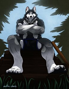 Rating: Explicit Score: 0 Tags: 2012 4_toes abs anthro balls_outline biceps big_muscles biped black_nose blue_eyes bondage_gear bottomwear bulge canid canine canis claws clothed clothing crossed_arms detailed_bulge domestic_dog e621 fangs feet fur genital_outline grass grey_body grey_fur grin harness hi_res husky leather log looking_at_viewer male mammal muscular muscular_anthro muscular_male nordic_sled_dog outside pecs penis_outline plant pose rurik_(kougatalbain) shorts siberian_husky sitting sky smile solo spitz teeth toe_claws toes topless wfa wood User: bunchy7s