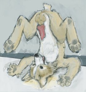 Rating: Explicit Score: 0 Tags: 5_fingers against_surface against_wall animal_genitalia animal_penis balls black_eyes black_nose black_sclera bodily_fluids canid canine canine_genitalia canine_penis canis claws countershading digital_media_(artwork) digital_painting_(artwork) domestic_dog e621 ears_up erection feet feral fingers fur genital_fluids genitals grey_pawpads happy herding_dog hindpaw inside knot knotted_penis male male_peeing mammal multicolored_body multicolored_fur open_mouth open_smile painting_(artwork) pastoral_dog pawpads paws peeing peeing_while_erect penis pink_penis scut_tail short_tail smile solo tail tan_body tan_fur toffee_(artist) two_tone_body two_tone_fur upside_down urine urine_in_mouth urine_in_own_mouth urine_stream watersports welsh_corgi whiskers white_body white_countershading white_fur User: bunchy7s Rating: Explicit Score: 0 Tags: 5_fingers against_surface against_wall animal_genitalia animal_penis balls black_eyes black_nose black_sclera bodily_fluids canid canine canine_genitalia canine_penis canis claws countershading digital_media_(artwork) digital_painting_(artwork) domestic_dog e621 ears_up erection feet feral fingers fur genital_fluids genitals grey_pawpads happy herding_dog hindpaw inside knot knotted_penis male male_peeing mammal multicolored_body multicolored_fur open_mouth open_smile painting_(artwork) pastoral_dog pawpads paws peeing peeing_while_erect penis pink_penis scut_tail short_tail smile solo tail tan_body tan_fur toffee_(artist) two_tone_body two_tone_fur upside_down urine urine_in_mouth urine_in_own_mouth urine_stream watersports welsh_corgi whiskers white_body white_countershading white_fur User: bunchy7s
