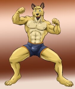 Rating: Safe Score: 0 Tags: abs abstract_background anthro beard biceps big_muscles biped blue_eyes boxers_(clothing) brown_body brown_fur buck_(exawolf) bulge canid canine canis clothed clothing domestic_dog e621 ear_piercing exawolf facial_hair fighting_pose flexing front_view fur looking_at_viewer male mammal muscular muscular_anthro muscular_male nipples pecs piercing pose simple_background smile solo spread_legs spreading standing swimming_trunks swimwear topless underwear wide_stance yellow_body yellow_fur User: bunchy7s Rating: Safe Score: 0 Tags: abs abstract_background anthro beard biceps big_muscles biped blue_eyes boxers_(clothing) brown_body brown_fur buck_(exawolf) bulge canid canine canis clothed clothing domestic_dog e621 ear_piercing exawolf facial_hair fighting_pose flexing front_view fur looking_at_viewer male mammal muscular muscular_anthro muscular_male nipples pecs piercing pose simple_background smile solo spread_legs spreading standing swimming_trunks swimwear topless underwear wide_stance yellow_body yellow_fur User: bunchy7s