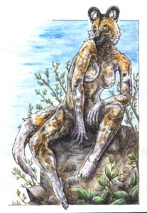 Rating: Questionable Score: 0 Tags: african_wild_dog anthro biped breasts canid canine e621 female kirsch mammal nipples nude pose sitting solo tail traditional_media_(artwork) User: bunchy7s