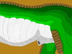 Rating: Explicit Score: 0 Tags: abdominal_bulge animal_genitalia avereth_(artist) e621 genitals male nude penis penis_tip reptile scalie sheath side_view slightly_chubby solo User: bunchy7s