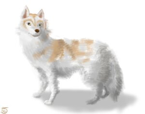 Rating: Safe Score: 0 Tags: ambiguous_gender canid canine canis conditional_dnp domestic_dog e621 feral husky klaide mammal nordic_sled_dog simple_background solo spitz white_background User: bunchy7s Rating: Safe Score: 0 Tags: ambiguous_gender canid canine canis conditional_dnp domestic_dog e621 feral husky klaide mammal nordic_sled_dog simple_background solo spitz white_background User: bunchy7s