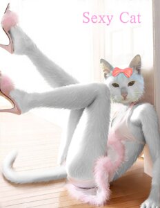 Rating: Questionable Score: 0 Tags: accessory arm_support bent_leg bottomwear bow_(feature) bow_accessory bow_ribbon brown_eyes clothing dancewear domestic_cat e621 english_text felid feline felis female fluffy fluffy_tail footwear fur hair_accessory hair_bow hair_ribbon high_heels inside legs_up looking_at_viewer mammal on_ground pink_nose reclining ribbons shoes sitting skirt solo tail text toshi_(hokkaido) tutu white_body white_fur wood User: bunchy7s