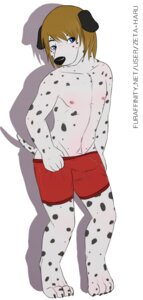 Rating: Explicit Score: 0 Tags: 2013 4_toes 5_fingers anthro black_nose blue_eyes boxer_briefs bulge canid canine canis claws clothed clothing dalmatian domestic_dog e621 erection erection_under_clothing feet fingers genitals hair long_hair looking_at_viewer male mammal navel nipples partially_clothed paws penis penis_base red_clothing red_underwear shadow simple_background solo spots standing text toe_claws toes underwear undressing url white_background zeta-haru User: bunchy7s