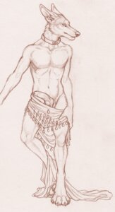 Rating: Explicit Score: 0 Tags: 2011 amon_(rukis) anthro canid canine canis clothing collar e621 erection genitals jackal knot male mammal metal_collar nude penis piercing rukis solo User: bunchy7s Rating: Explicit Score: 0 Tags: 2011 amon_(rukis) anthro canid canine canis clothing collar e621 erection genitals jackal knot male mammal metal_collar nude penis piercing rukis solo User: bunchy7s
