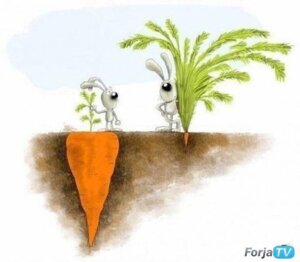 Rating: Safe Score: 0 Tags: black_nose carrot comparing compression_artifacts dirt duo e621 food humor lagomorph leaning leporid male mammal plant rabbit simple_background size_difference standing unknown_artist vegetable watermark white_background User: bunchy7s Rating: Safe Score: 0 Tags: black_nose carrot comparing compression_artifacts dirt duo e621 food humor lagomorph leaning leporid male mammal plant rabbit simple_background size_difference standing unknown_artist vegetable watermark white_background User: bunchy7s