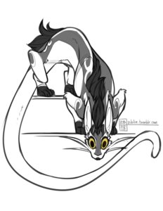 Rating: Safe Score: 0 Tags: 2013 ambiguous_gender big_eyes black_eyes digital_drawing_(artwork) digital_media_(artwork) dragon e621 felid feral front_view fur furred_dragon furred_scalie hybrid lady_snakebite long_ears looking_at_viewer mammal mingchee_(character) mixed_media mythological_creature mythological_scalie mythology scalie simple_background solo tail whiskers white_background yellow_sclera ziblie User: bunchy7s