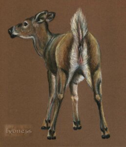 Rating: Explicit Score: 0 Tags: anatomically_correct animal_genitalia animal_vulva anus brown_background brown_body brown_fur butt cervine_genitalia cervine_vulva deer e621 female feral fur genitals hooves mammal multicolored_body multicolored_fur presenting presenting_hindquarters raised_tail rear_view simple_background solo spera tail tail_anus two_tone_body two_tone_fur vulva white_body white_fur User: bunchy7s Rating: Explicit Score: 0 Tags: anatomically_correct animal_genitalia animal_vulva anus brown_background brown_body brown_fur butt cervine_genitalia cervine_vulva deer e621 female feral fur genitals hooves mammal multicolored_body multicolored_fur presenting presenting_hindquarters raised_tail rear_view simple_background solo spera tail tail_anus two_tone_body two_tone_fur vulva white_body white_fur User: bunchy7s