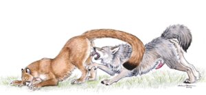 Rating: Explicit Score: 0 Tags: anus backsack ball_lick balls canid canine canis cougar duo e621 ebonytigress erection felid feline feral feral_on_feral genitals licking male male/male male_penetrated male_penetrating male_penetrating_male mammal oral penetration penis penis_tip raised_tail sex tail tongue tongue_out wolf User: bunchy7s Rating: Explicit Score: 0 Tags: anus backsack ball_lick balls canid canine canis cougar duo e621 ebonytigress erection felid feline feral feral_on_feral genitals licking male male/male male_penetrated male_penetrating male_penetrating_male mammal oral penetration penis penis_tip raised_tail sex tail tongue tongue_out wolf User: bunchy7s