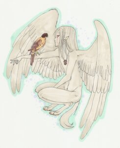 Rating: Questionable Score: 0 Tags: anthro avian bird crouching cryptid digitigrade dragonhawknumber duo e621 falcon falconid feathered_wings feathers feral hair humanoid jewelry long_hair male marker_(artwork) mothman necklace red_eyes side_view sikai_(species) tail traditional_media_(artwork) wings User: bunchy7s