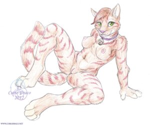 Rating: Explicit Score: 0 Tags: 2012 anthro bell breasts collar curiodraco domestic_cat e621 felid feline felis female genitals green_eyes looking_at_viewer mammal nipples nude simple_background solo tail vulva white_background User: bunchy7s Rating: Explicit Score: 0 Tags: 2012 anthro bell breasts collar curiodraco domestic_cat e621 felid feline felis female genitals green_eyes looking_at_viewer mammal nipples nude simple_background solo tail vulva white_background User: bunchy7s