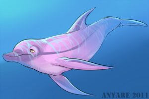 Rating: Safe Score: 0 Tags: 2011 anyare aquatic cetacean cool_colors dolphin e621 female feral mammal oceanic_dolphin solo toothed_whale underwater water User: bunchy7s Rating: Safe Score: 0 Tags: 2011 anyare aquatic cetacean cool_colors dolphin e621 female feral mammal oceanic_dolphin solo toothed_whale underwater water User: bunchy7s