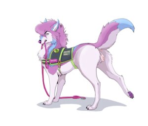 Rating: Explicit Score: 0 Tags: 2014 anatomically_correct anatomically_correct_genitalia anatomically_correct_vulva animal_genitalia animal_vulva anus blue_body blue_fur butt canid canine canine_genitalia canine_vulva canis claws domestic_dog e621 feet female feral fur genitals hi_res hindpaw leash looking_at_viewer looking_back mammal marjani_(character) pawpads paws pink_body pink_fur presenting presenting_anus presenting_hindquarters presenting_vulva purple_nose purple_pawpads quadruped seductive service_animal service_dog_harness shebeast simple_background solo standing teeth vulva white_background white_body white_eyes white_fur User: bunchy7s